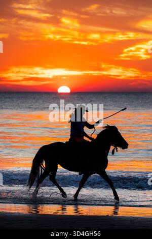 Reiten auf Marsh Tacky Horses auf Daufuskie Island. Stockfoto
