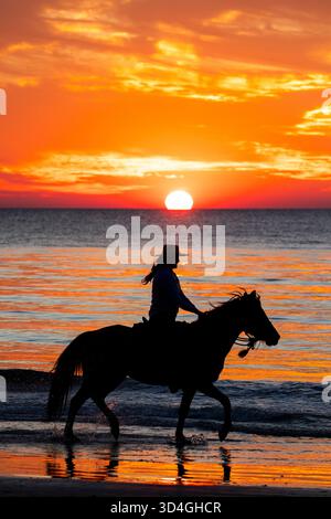 Reiten auf Marsh Tacky Horses auf Daufuskie Island. Stockfoto