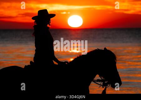 Reiten auf Marsh Tacky Horses auf Daufuskie Island. Stockfoto