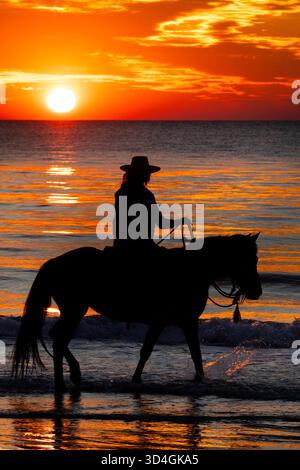 Reiten auf Marsh Tacky Horses auf Daufuskie Island. Stockfoto