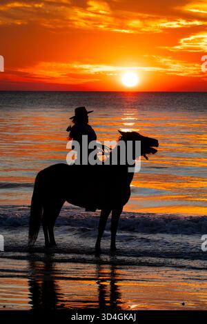 Reiten auf Marsh Tacky Horses auf Daufuskie Island. Stockfoto