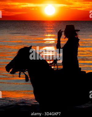 Reiten auf Marsh Tacky Horses auf Daufuskie Island. Stockfoto