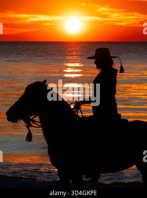 Reiten auf Marsh Tacky Horses auf Daufuskie Island. Stockfoto