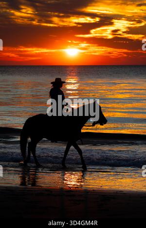 Reiten auf Marsh Tacky Horses auf Daufuskie Island. Stockfoto