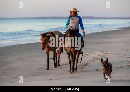 Reiten auf Marsh Tacky Horses auf Daufuskie Island. Stockfoto
