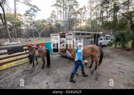 Reiten auf Marsh Tacky Horses auf Daufuskie Island. Stockfoto