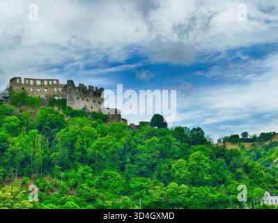 Schloss Rheinfels, eine majestätische mittelalterliche Festung auf einem Hügel mit Blick auf den Rhein, zeigt verwitterte Steinmauern vor lebendigem Grün Stockfoto