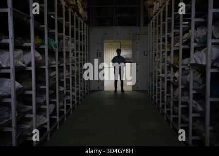 Die forensische Anthropologin Dragana Vucetic von der Internationalen Kommission für Vermisste (ICMP) versucht, die Überreste eines Opfers des Bosnienkrieges 1992–95 in Tuzla, Bosnien und Herzegowina zu identifizieren. Stockfoto