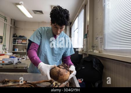 Die forensische Anthropologin Dragana Vucetic von der Internationalen Kommission für Vermisste (ICMP) versucht, die Überreste eines Opfers des Bosnienkrieges 1992–95 in Tuzla, Bosnien und Herzegowina zu identifizieren. Stockfoto