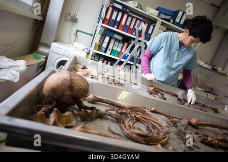 Die forensische Anthropologin Dragana Vucetic von der Internationalen Kommission für Vermisste (ICMP) versucht, die Überreste eines Opfers des Bosnienkrieges 1992–95 in Tuzla, Bosnien und Herzegowina zu identifizieren. Stockfoto