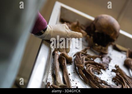 Die forensische Anthropologin Dragana Vucetic von der Internationalen Kommission für Vermisste (ICMP) versucht, die Überreste eines Opfers des Bosnienkrieges 1992–95 in Tuzla, Bosnien und Herzegowina zu identifizieren. Stockfoto