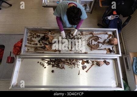 Die forensische Anthropologin Dragana Vucetic von der Internationalen Kommission für Vermisste (ICMP) versucht, die Überreste eines Opfers des Bosnienkrieges 1992–95 in Tuzla, Bosnien und Herzegowina zu identifizieren. Stockfoto