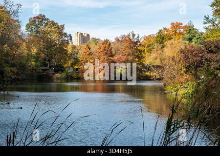 Der Teich im Central Park ist wunderschön mit Herbstfarben, New York City, USA 2025 Stockfoto