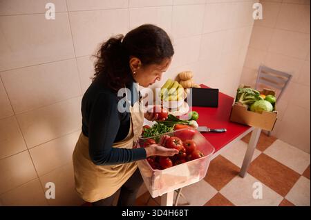 Eine Frau in einer beigefarbenen Schürze sortiert reife Tomaten aus einem klaren Behälter, während eine Schachtel Gemüse auf einem roten Tisch liegt, die Hausmannskost, Frische, Stockfoto