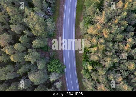 Grüner Wald aus der Vogelperspektive direkt von oben Stockfoto