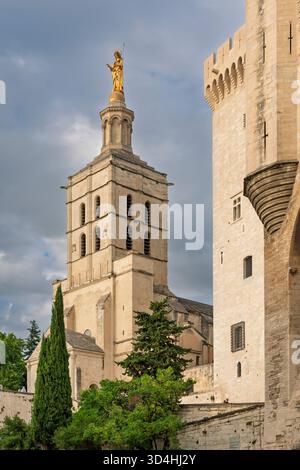 Papstplatz in Avignon, Luberon, Provence, Frankreich, Europa. Stockfoto