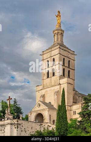 Papstplatz in Avignon, Luberon, Provence, Frankreich, Europa. Stockfoto