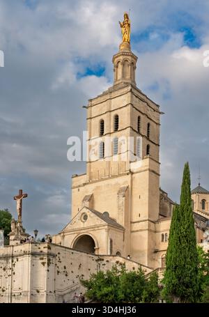 Papstplatz in Avignon, Luberon, Provence, Frankreich, Europa. Stockfoto