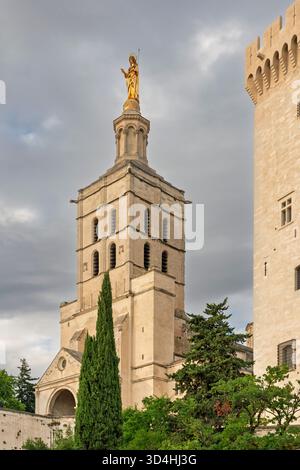 Papstplatz in Avignon, Luberon, Provence, Frankreich, Europa. Stockfoto