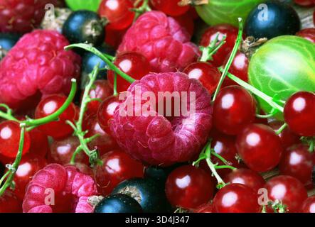 Gemischte Beeren Hintergrund, in der Nähe Stockfoto