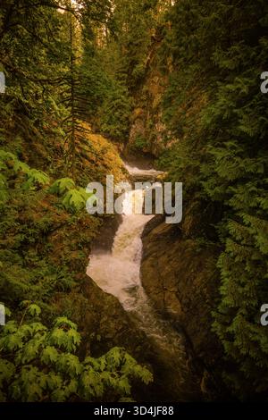 Ein vertikaler Blick auf einen mächtigen Wasserfall, der durch eine enge, moosbedeckte Felsschlucht fließt, umgeben von grünem Laub mit Herbstfarben. Stockfoto