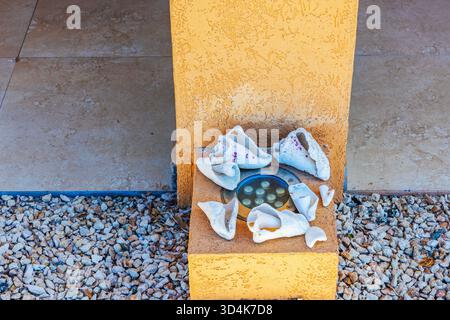 Nahansicht der weißen Muscheln, die auf einer Gartenlampe in der Nähe des Hoteleingangs auf einem Steinkies platziert sind. Aruba. Stockfoto