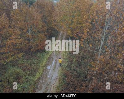 Aus der Vogelperspektive einer einsamen Figur in einer gelben Jacke geht auf einem schlammigen Pfad durch einen Wald mit Bäumen in Herbstfarben, A Cañiza, Pontevedra, S Stockfoto