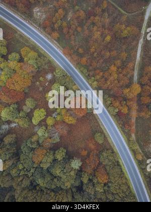 Aus der Vogelperspektive auf eine Straße, die durch einen Wandteppich herbstlicher Farbtöne führt, wo feurige Rote und Orangen in einem leuchtenden Farbentanz auf tiefgrünes Grün treffen, Ein Cañiza Stockfoto