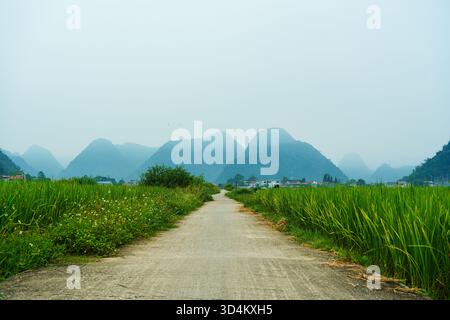 Ruhiger Blick auf den Kalksteinberg zwischen Reisfeld im Bac Son Valley, Vietnam Stockfoto