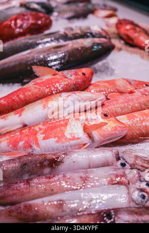 Frischer Fisch auf Eis auf dem lokalen Meeresfrüchtemarkt Stockfoto