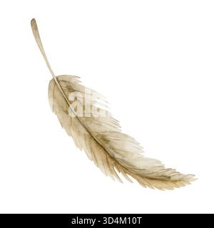 Trockenes Pampas-Gras. Neutrale beige Herbst Winterkraut Pflanze. Aquarell Hand gezeichnete florale Illustration isoliert auf weißem Hintergrund für Herbsthochzeitdesi Stockfoto