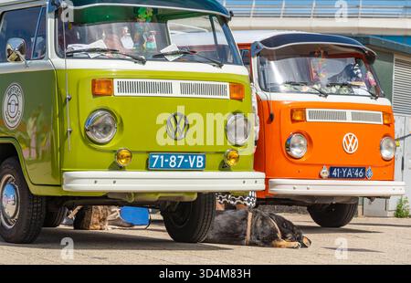 Scheveningen, Niederlande, 25.05.2025, bunte Vintage-Wohnmobile von Volkswagen nebeneinander auf der Aircooler Oldtimer-Ausstellung Stockfoto