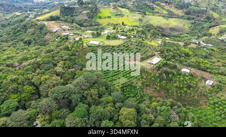 Atemberaubender Blick aus der Vogelperspektive auf die lebendige Landschaft in Popayán, Cauca, Kolumbien, mit üppigem Grün und Avocadofarmen. Stockfoto