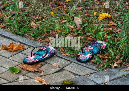 Helle Flipflops ruhen auf einem Steinweg mit bunten Herbstblättern um sie herum. Stockfoto