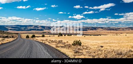 Jackass Mountain Massif über dem Malheur Wildlife Refuge in der Ferne, Blick vom Steens Mountain Loop, High Desert Region, Oregon, USA Stockfoto