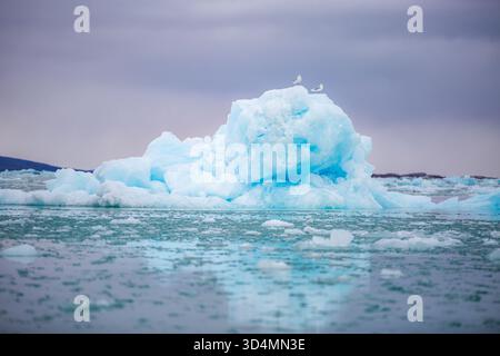 Svalbard Bootstour - großer Eisblock, der im Meer schwimmt. Der Himmel ist bewölkt und das Wasser ist blau. Der Eisblock ist von kleineren Eisblöcken und umgeben Stockfoto