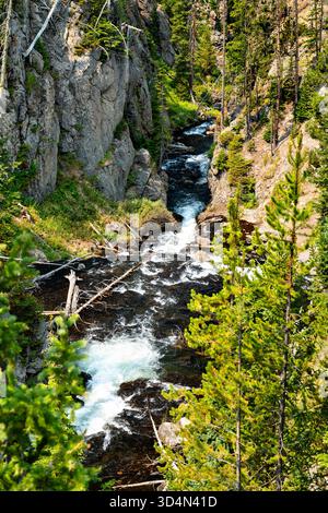 Vertikale Ansicht der Kepler Cascades im Yellowstone-Nationalpark. Der Firehole River rauscht durch einen engen Felsschlucht, umgeben von einem dichten grünen Kiefernwald Stockfoto