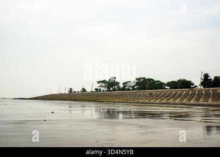Einsame Feuchtlandküste Mit Verwitterten Bäumen Und Reflexen Unter Weichem Himmel, Ruhige Ferne Küste Dahinter Stockfoto
