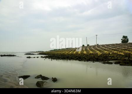 Einsame Feuchtlandküste Mit Verwitterten Bäumen Und Reflexen Unter Weichem Himmel, Ruhige Ferne Küste Dahinter Stockfoto