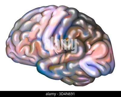 Abbildung des Gehirns, unterteilt in seine verschiedenen Funktionsbereiche: - Präfrontaler Cortex, - prämotorischer Cortex, - primärer motorischer Cortex, - primärer somat Stockfoto