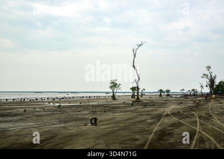 Einsame Feuchtlandküste Mit Verwitterten Bäumen Und Reflexen Unter Weichem Himmel, Ruhige Ferne Küste Dahinter Stockfoto