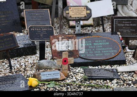 SPEAN BRIDGE, SCHOTTLAND, GROSSBRITANNIEN. NOVEMBER 2025. Tribut an die Gefallenen am Commando Memorial an der Spean Bridge in Schottland am Tag des Waffenstillstands sind zu sehen. Das Denkmal ist eine Bronzestatue mit drei bronzenen Kommandos aus dem Zweiten Weltkrieg, die auf den Ben Nevis, dem höchsten Berg Großbritanniens, gerichtet sind. (Quelle: James Holyoak/Alamy Live News) Stockfoto