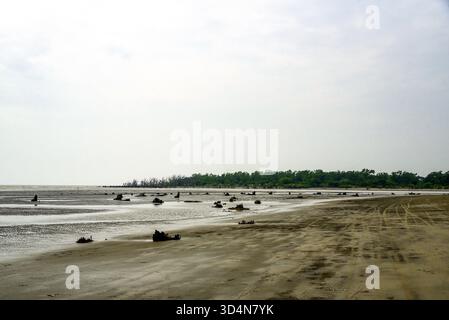 Einsame Feuchtlandküste Mit Verwitterten Bäumen Und Reflexen Unter Weichem Himmel, Ruhige Ferne Küste Dahinter Stockfoto