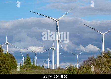 Windturbinen in einem Windpark in einer wunderschönen natürlichen Umgebung an einem sonnigen Sommertag in Nordestland, Europa Stockfoto