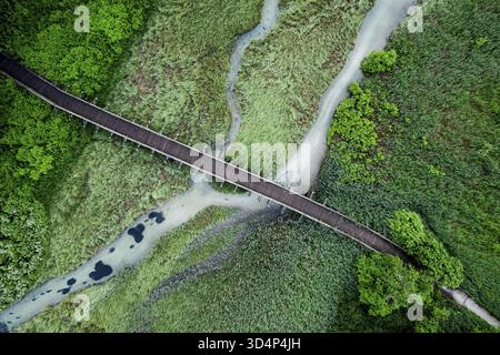 Naturschutzgebiet Zelenci in Slowenien. Bergfeuchtgebiete mit türkisfarbenem See, seltenen Pflanzen und Watvögeln. Drohnenansicht aus der Luft, Slowenien Stockfoto