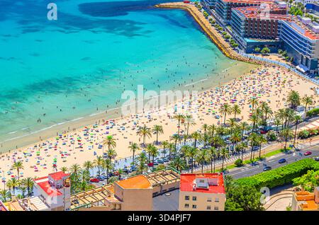 Blick aus der Vogelperspektive auf den Sandstrand Playa del Postiguet mit vielen Menschen und Promenade mit Palmen in der Altstadt von Alicante Altstadt, azurblaues Wasser von Med Stockfoto