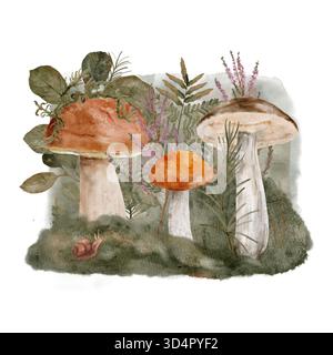 Drei Aquarellpilze im Wald, botanische Studie, die Stachelschweine und Bolete zwischen Moos und Blättern zeigt, kleine Schnecke auf dem Boden, Watercolor handgezeichnete isolierte Komposition für Verpackungsdesign, Druckmaterialien, Website-Design und vieles mehr Stockfoto