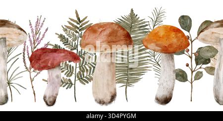 Aquarellpilze mit Farnakzenten, die als Feldstudie angeordnet sind, zeigen Boletuskappen, schlanke, handgezeichnete Aquarellfarben isolierte horizontale nahtlose Grenze Stockfoto