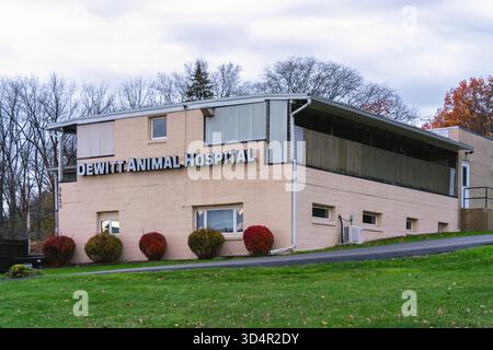 Syracuse, NY - 8. November 2025: DeWitt Animal Hospital, P.C. bietet Full-Service tierärztliche Versorgung, Diagnostik, Chirurgie und Boarding mit Schwerpunkt auf Leben Stockfoto