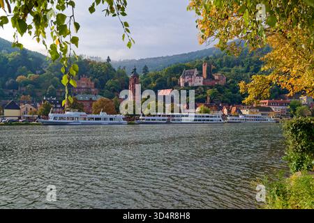 Miltenberg am Main in Unterfranken, Altstadt mit katholischer Pfarrkirche St. Jakobus und Mildenburg, Herbst, Bayern, Deutschland Stockfoto